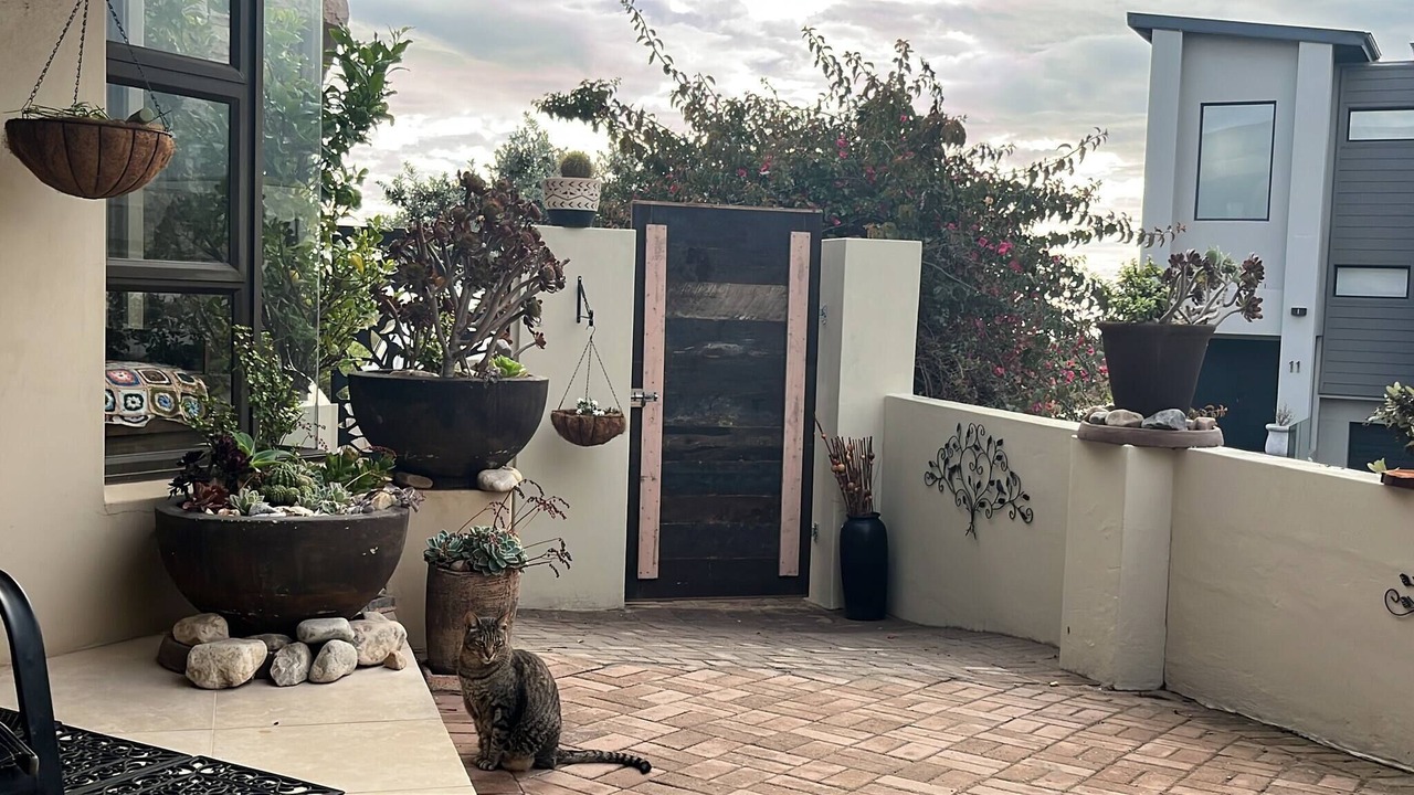 Photo of Outdoor in Calypso Beach
