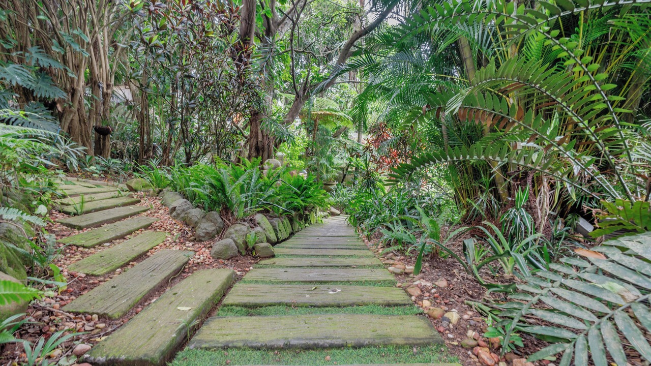 Photo of Outdoor in Ballito