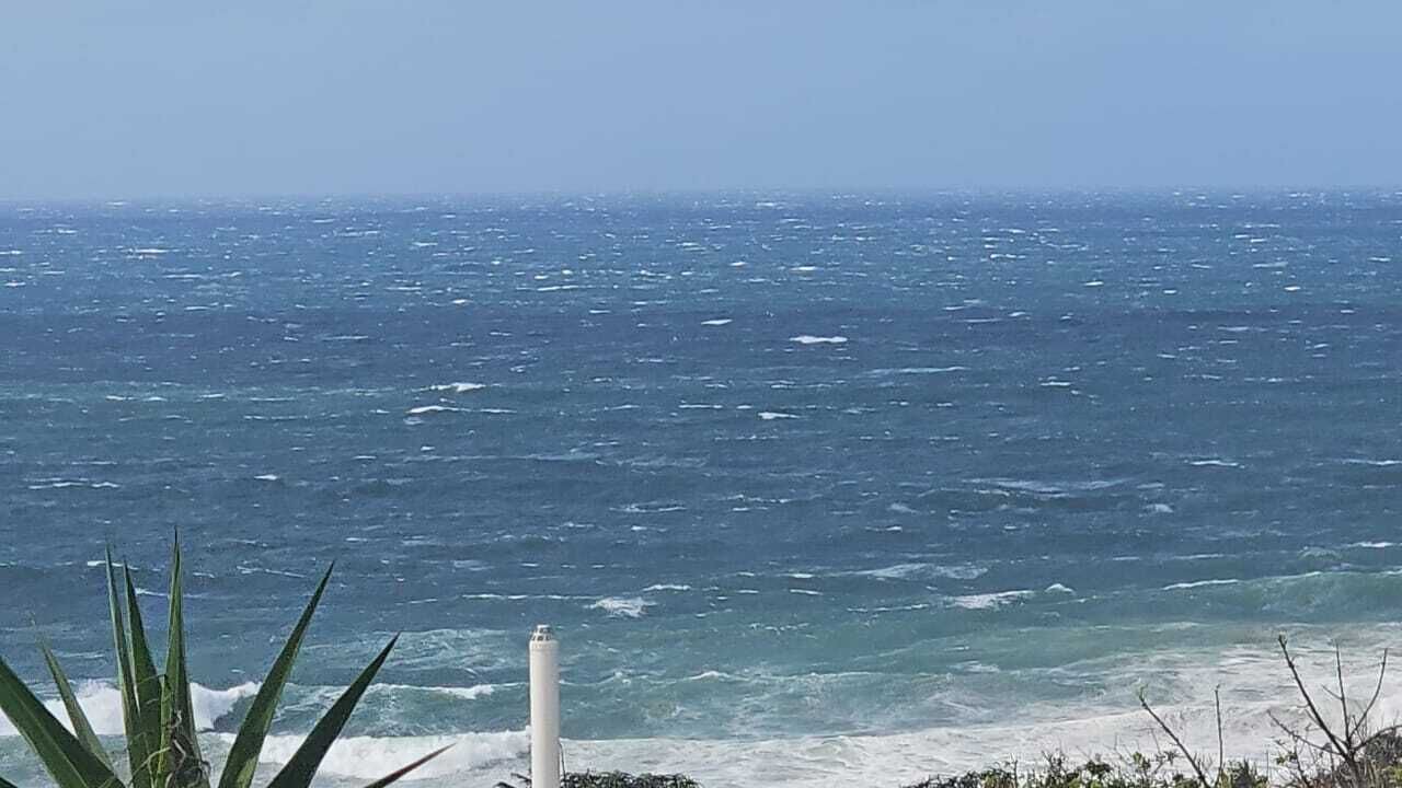 Photo of Others in Blythedale