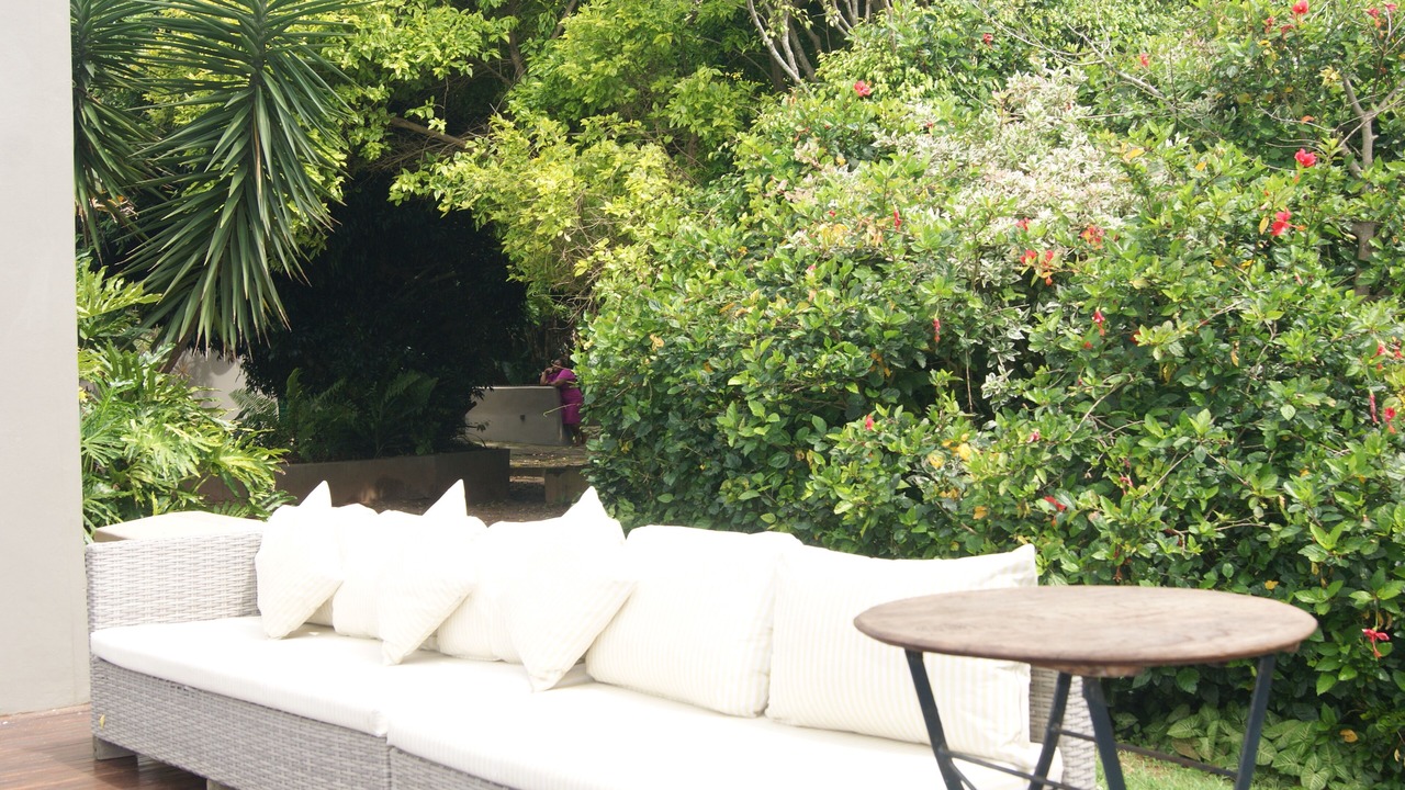 Photo of Outdoor in Blythedale