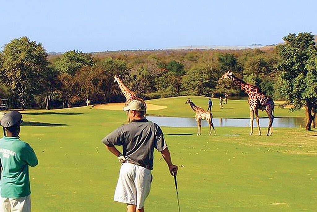 Photo of Others in Phalaborwa