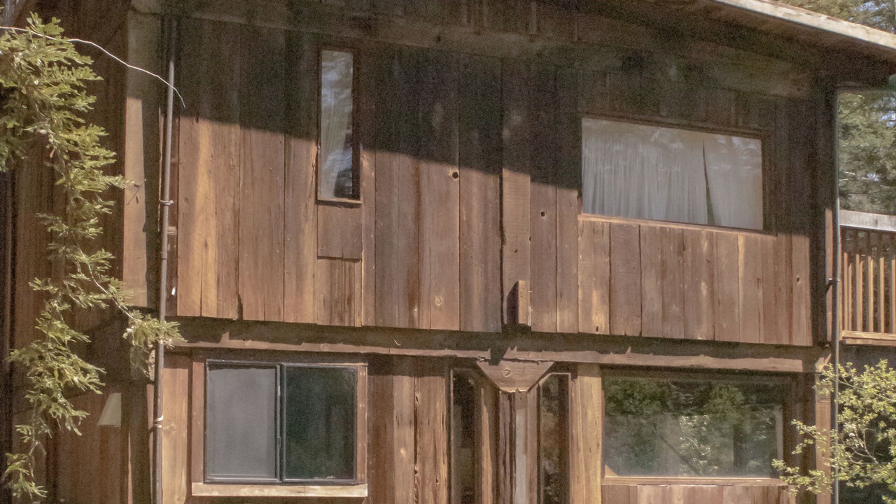 Photo of Outdoor in Little River