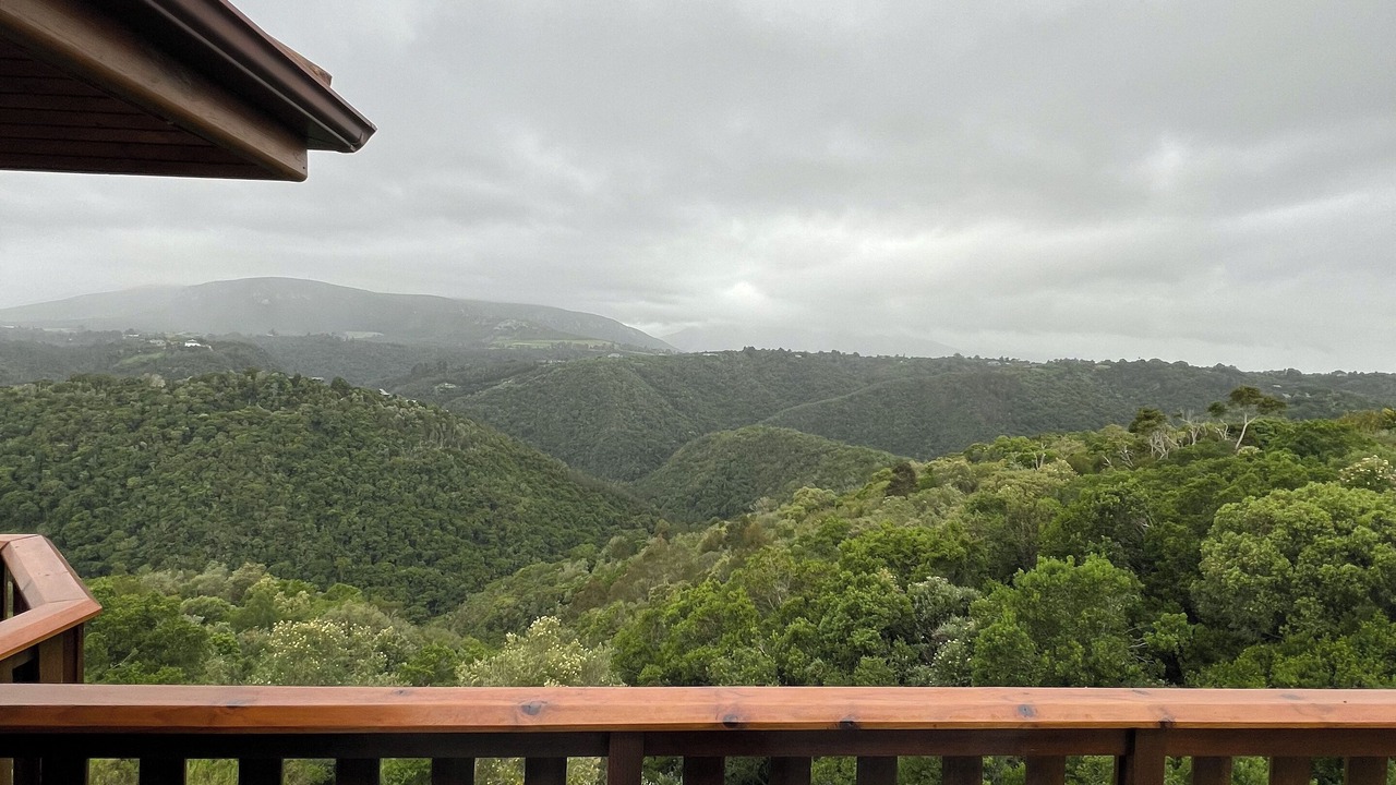 Photo of Outdoor in Wilderness