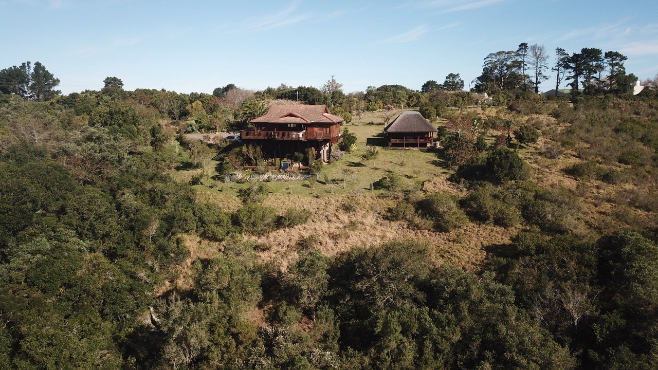 Photo of Outdoor in Wilderness