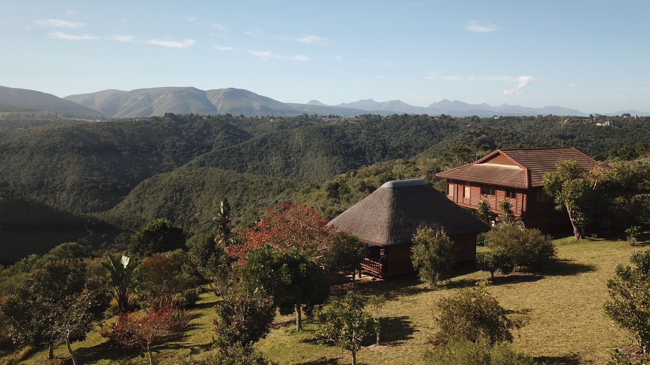 Photo of Outdoor in Wilderness