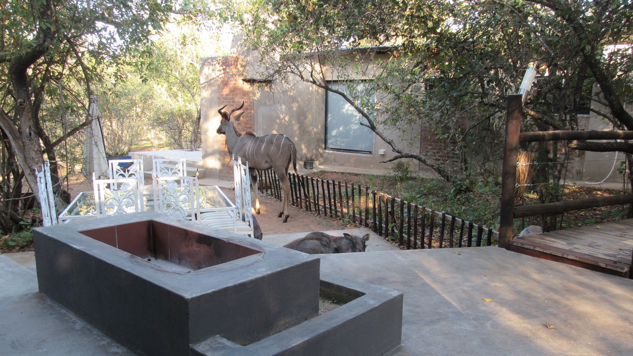 Photo of Outdoor in Marloth Park