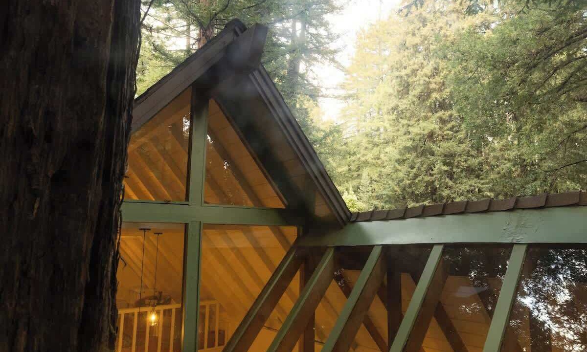 Photo of Outdoor in Mill Valley