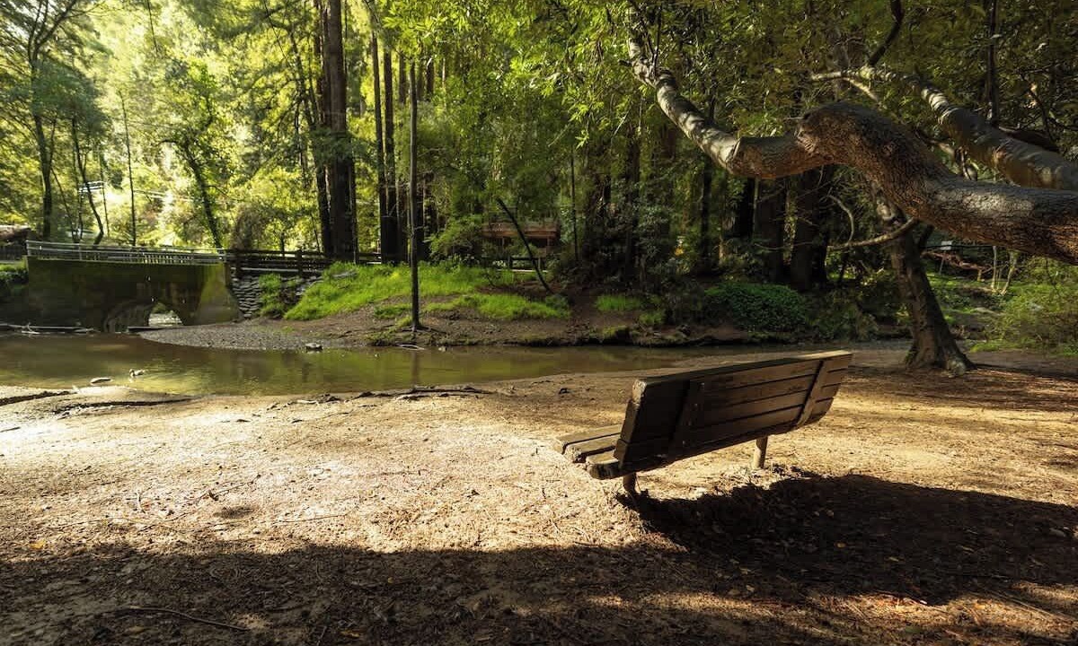 Photo of Others in Mill Valley