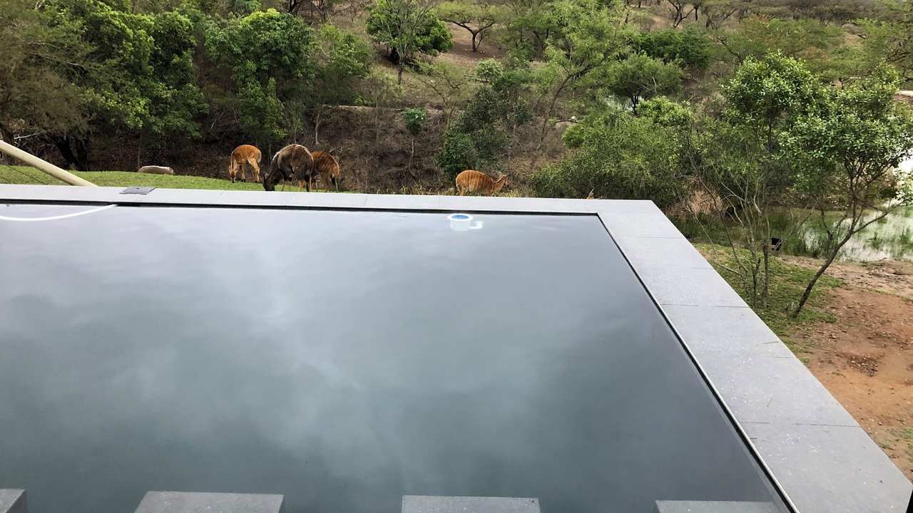 Photo of Outdoor in Nelspruit
