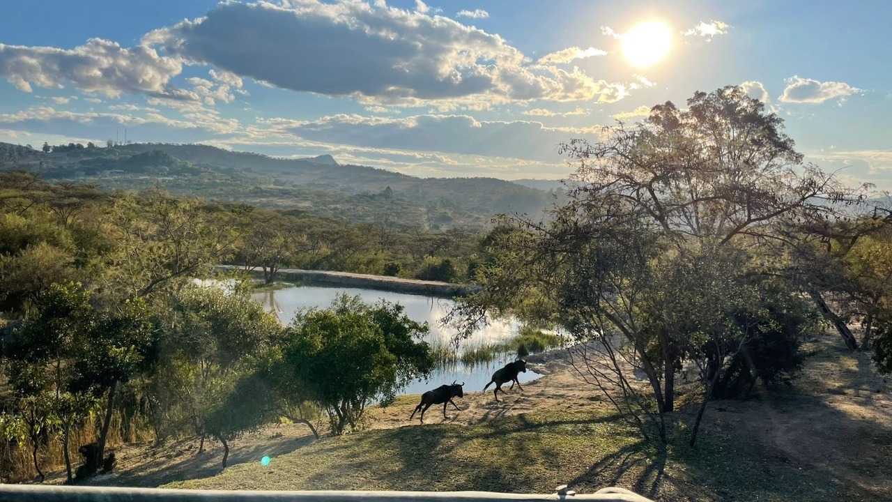 Photo of Others in Nelspruit