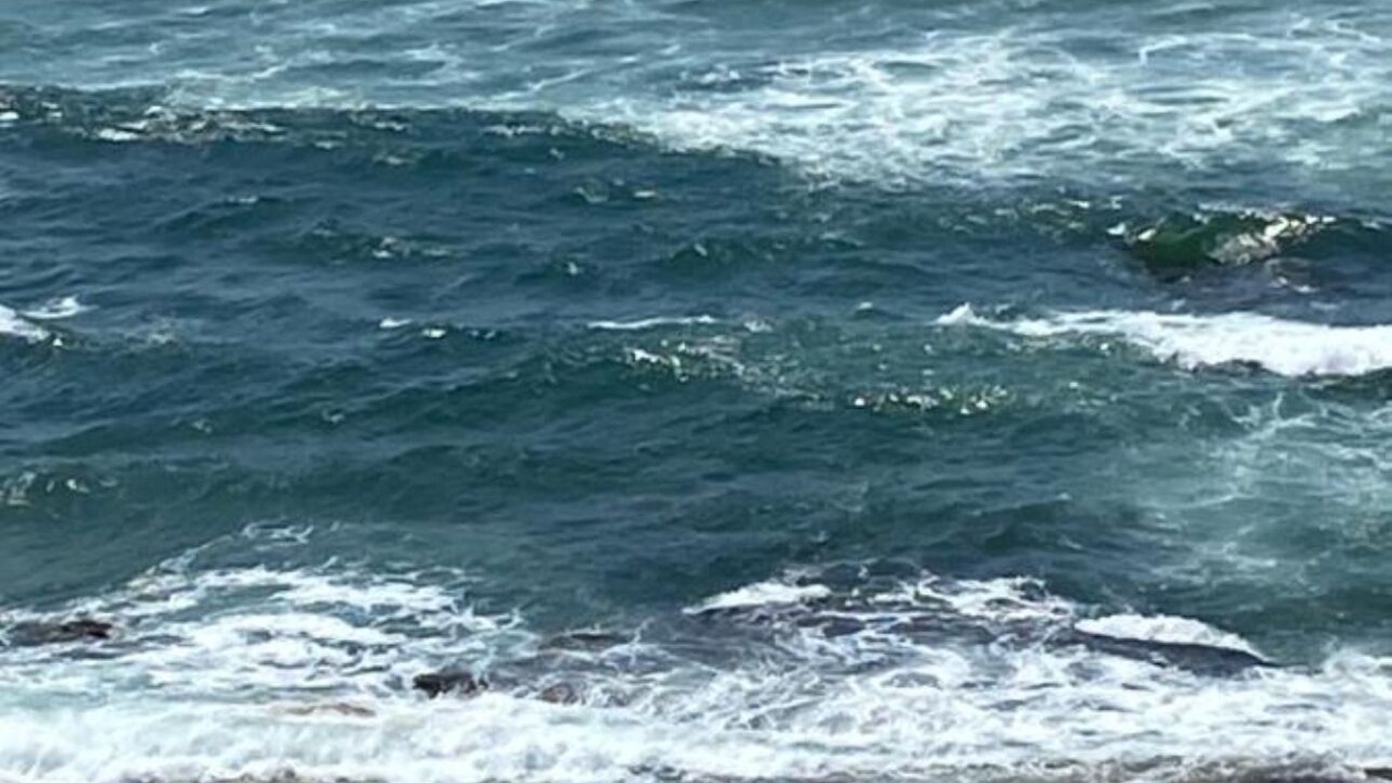 Photo of Others in Westbrook