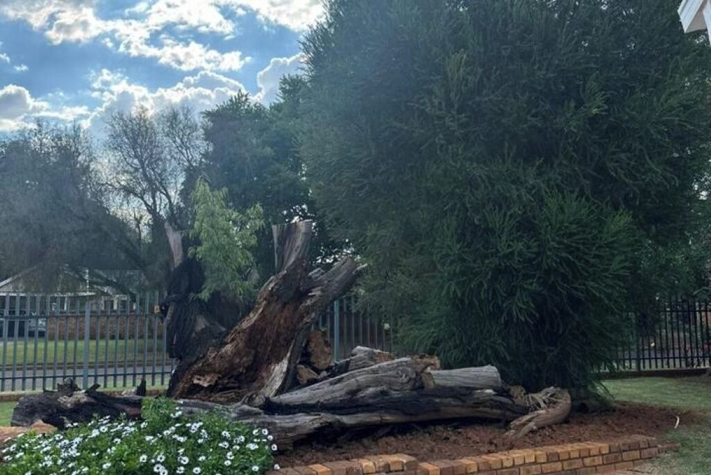 Photo of Outdoor in Springs