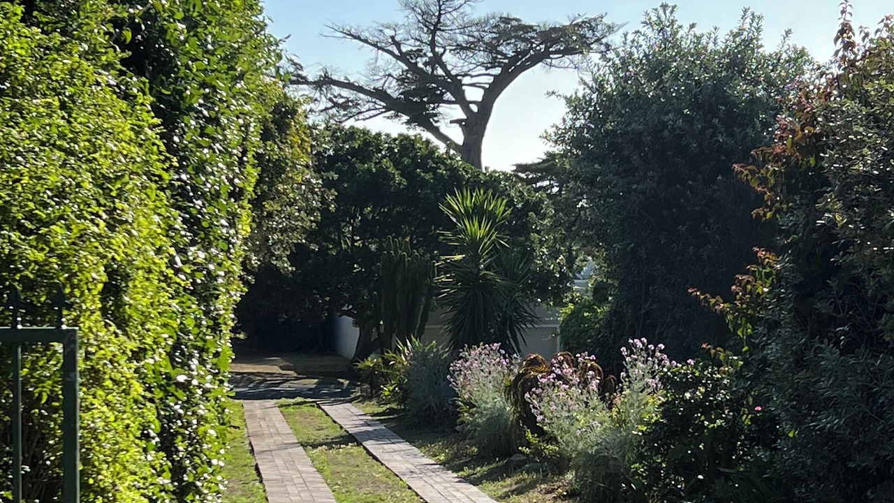 Photo of Outdoor in Noordhoek