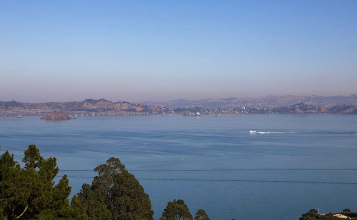 Photo of Others in Tiburon