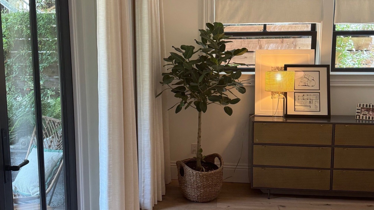 Photo of Others in Lower Pacific Heights