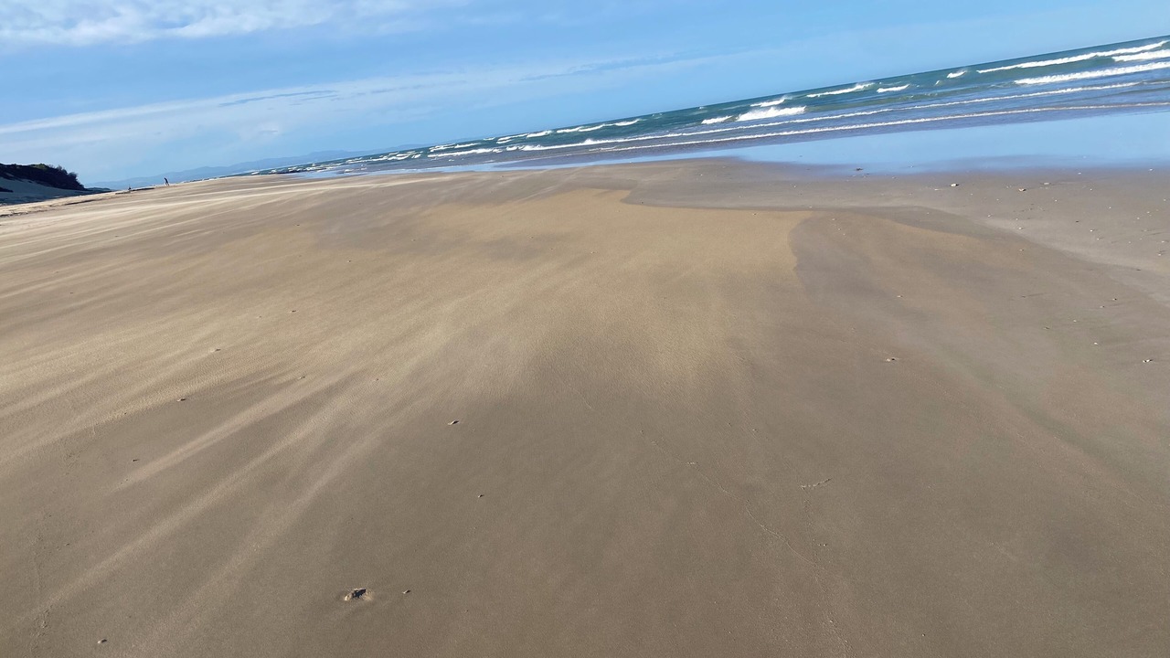 Photo of Others in Paradise Beach