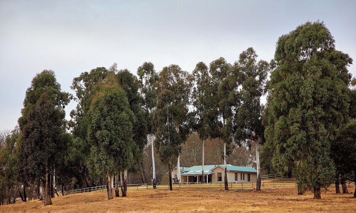 Photo of Others in Drakensberg Gardens