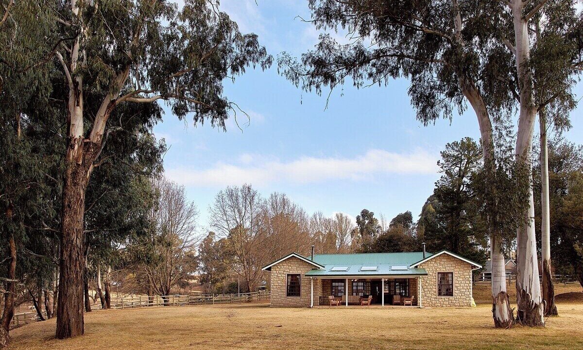 Photo of Others in Drakensberg Gardens