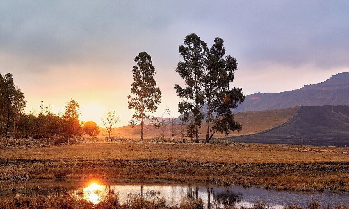 Photo of Others in Drakensberg Gardens