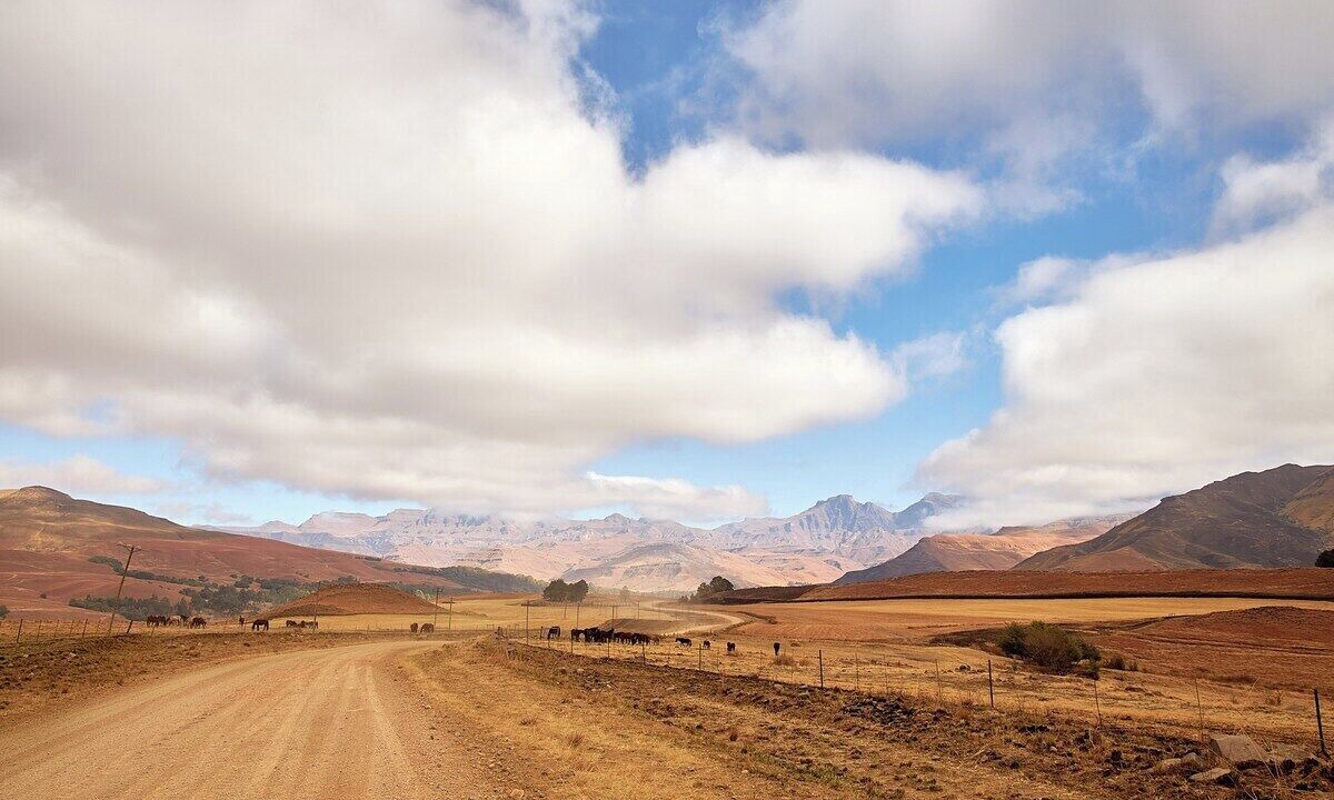 Photo of Others in Drakensberg Gardens