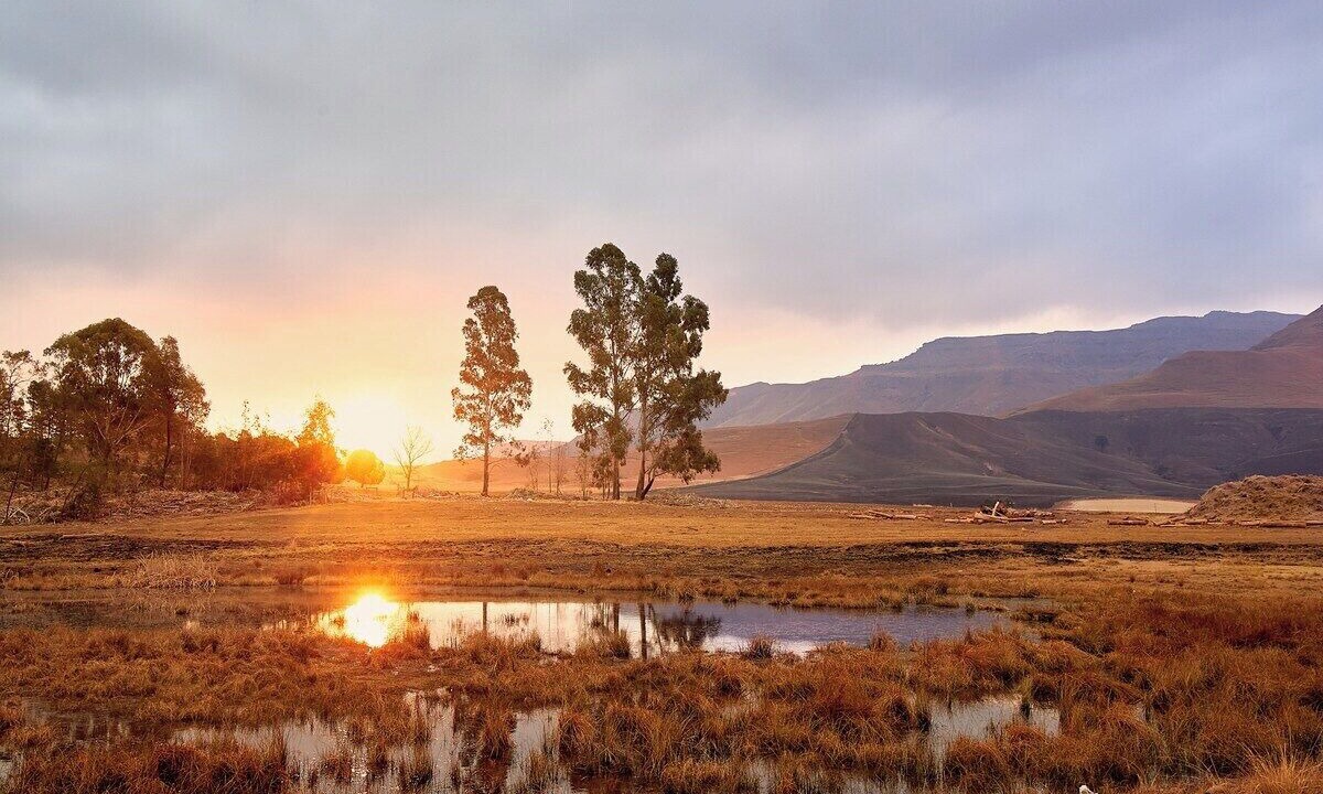 Photo of Others in Drakensberg Gardens