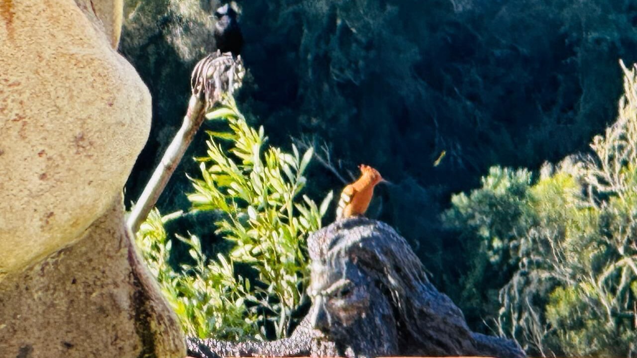 Photo of Others in Ruiterbos