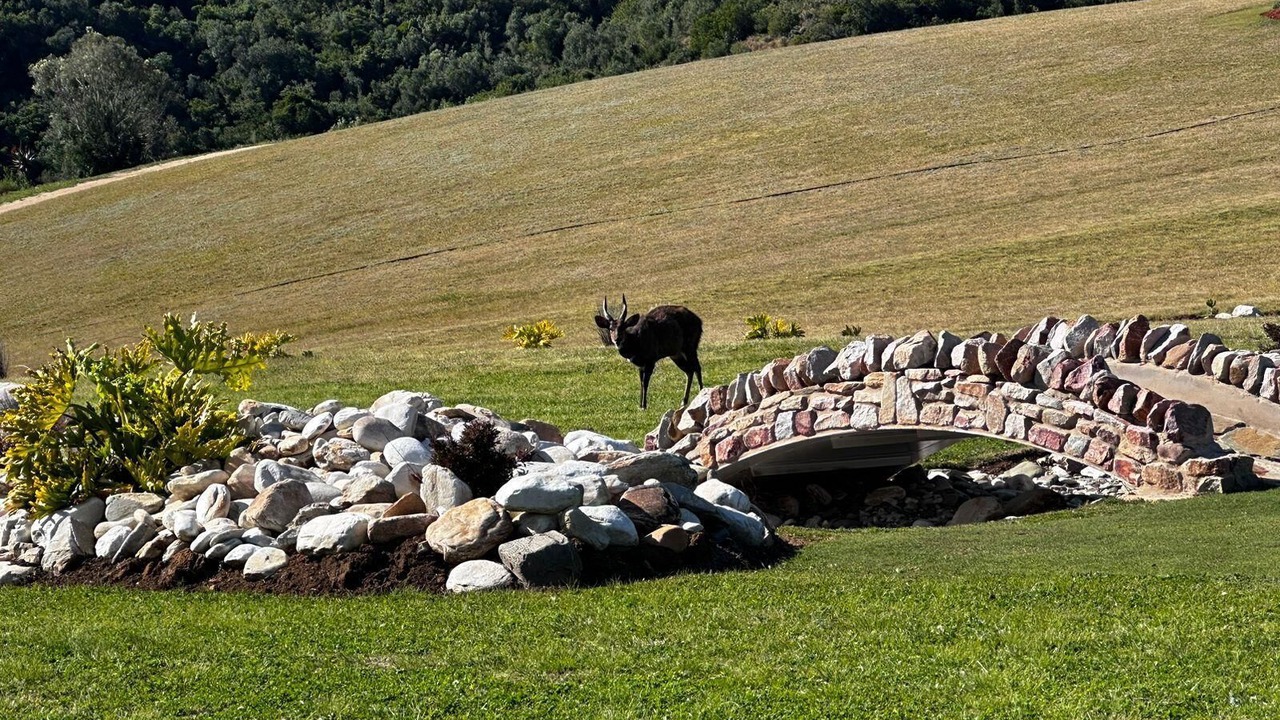 Photo of Others in Ruiterbos