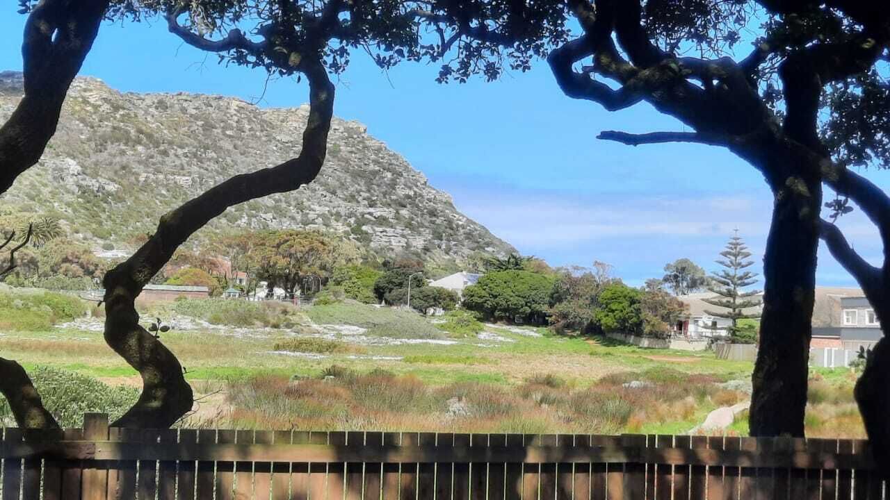 Photo of Others in Kommetjie