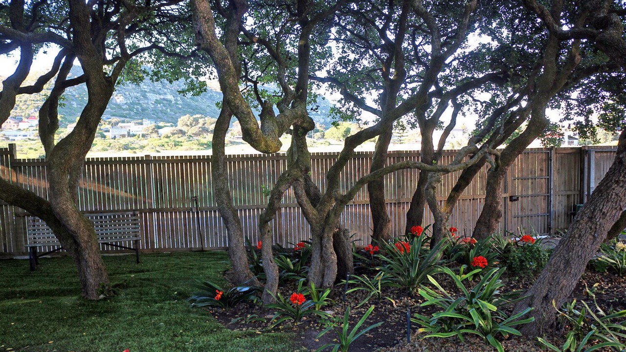 Photo of Outdoor in Kommetjie