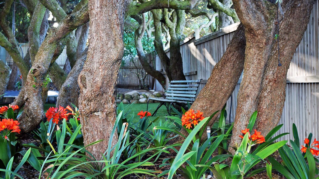 Photo of Outdoor in Kommetjie