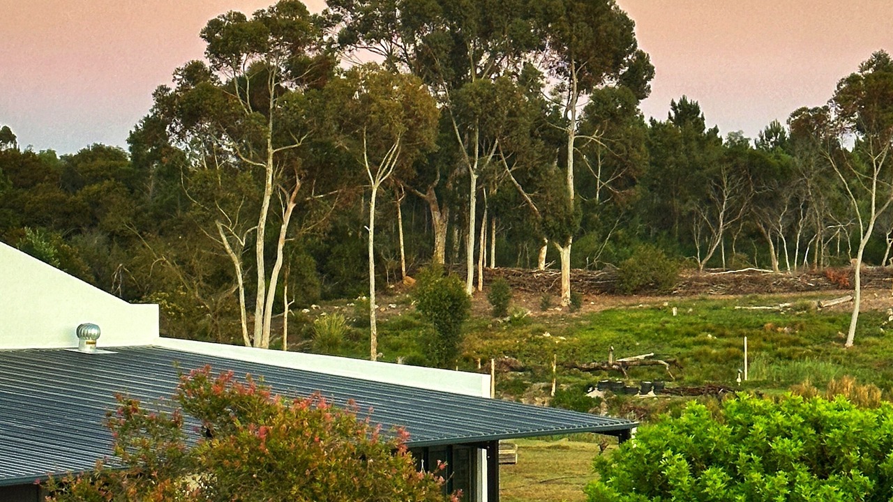 Photo of Outdoor in Napier