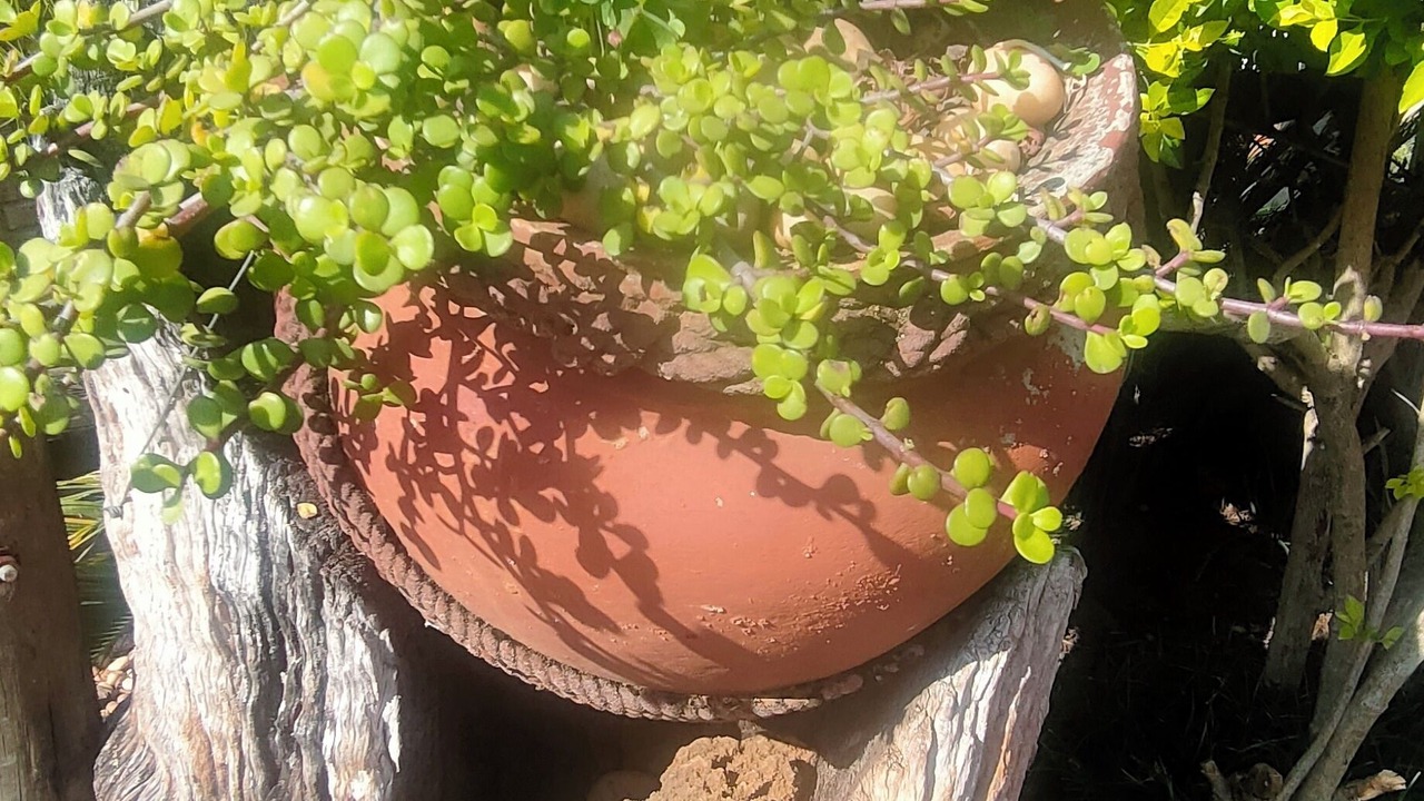 Photo of Outdoor in Sabie