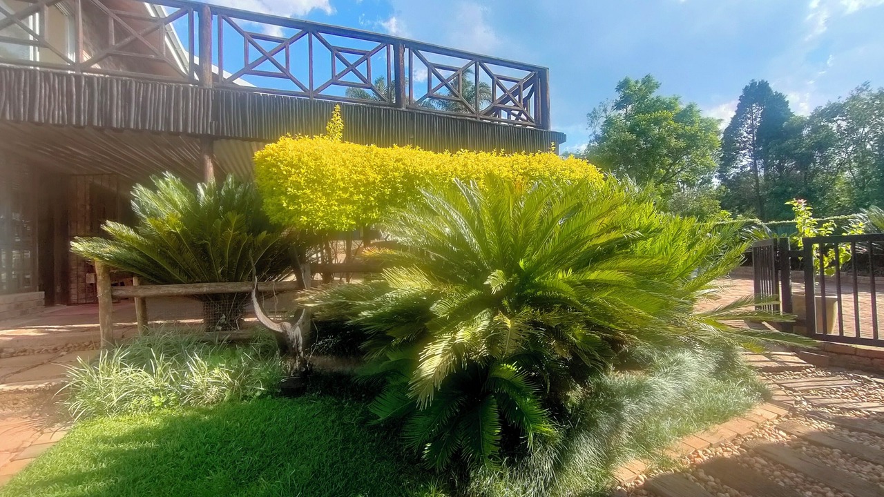 Photo of Outdoor in Sabie