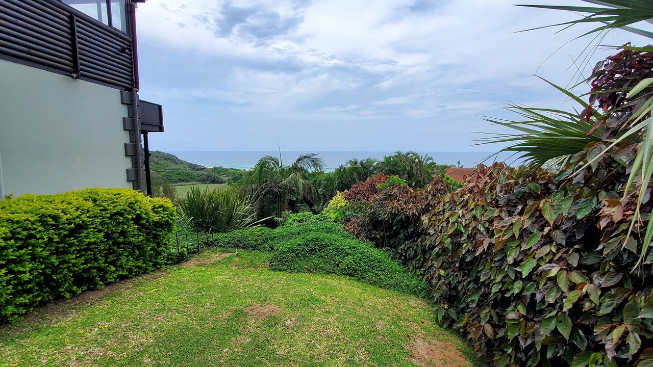Photo of Outdoor in Elysium