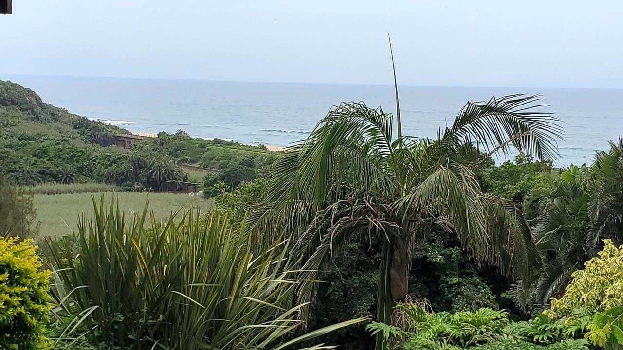 Photo of Outdoor in Elysium