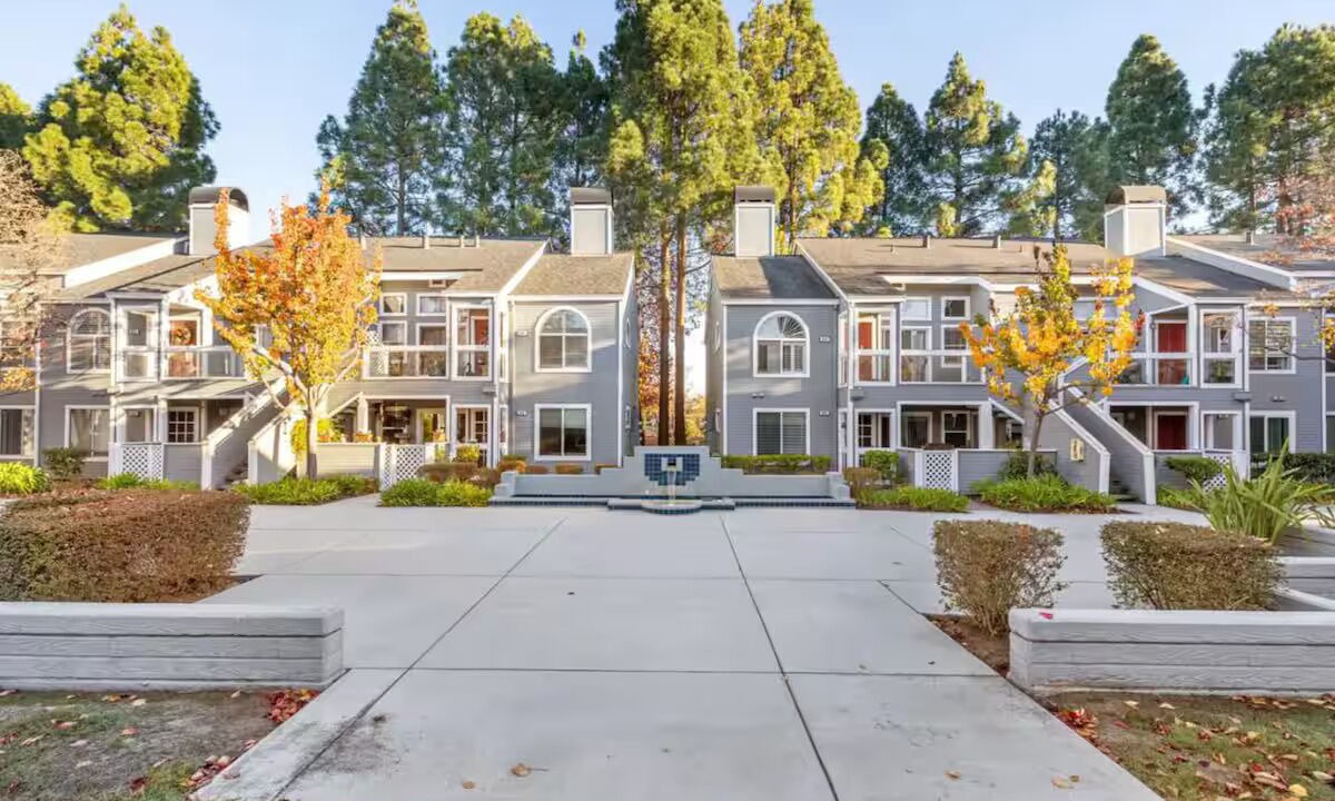 Photo of Outdoor in Redwood Shores