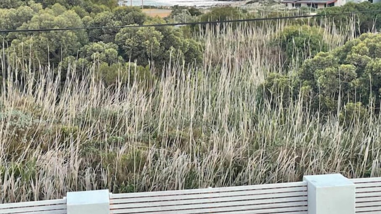 Photo of Outdoor in Betty's Bay
