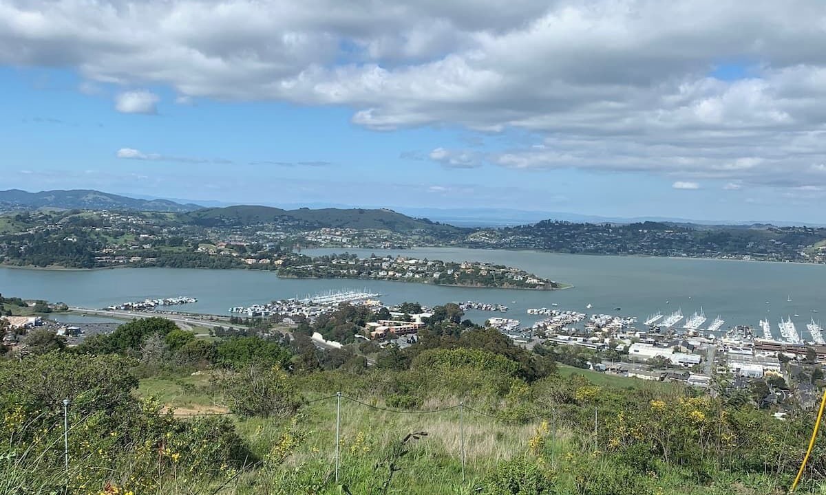 Photo of Others in Marin City