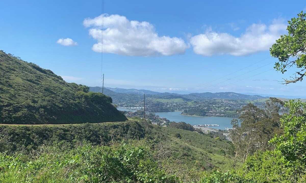 Photo of Others in Marin City
