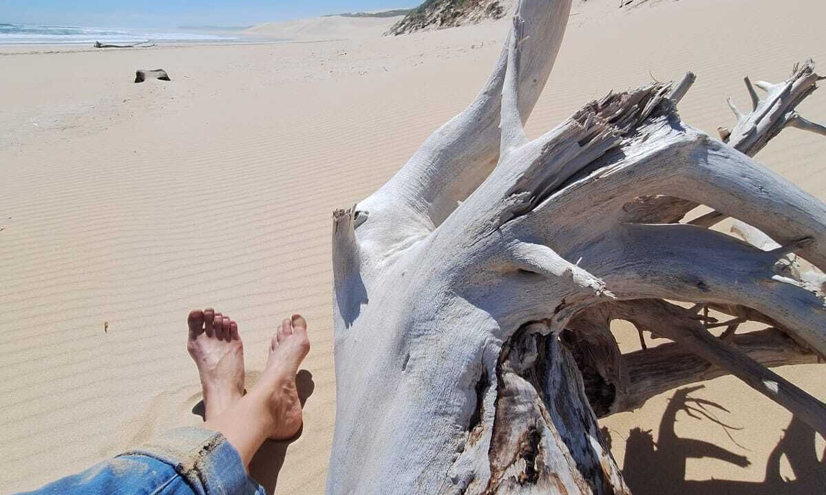 Photo of Others in Port Elizabeth