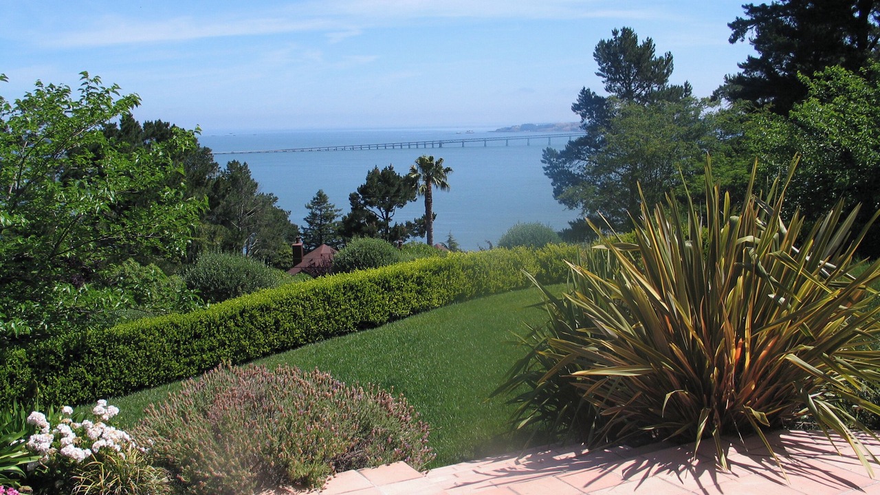 Photo of Outdoor in Tiburon