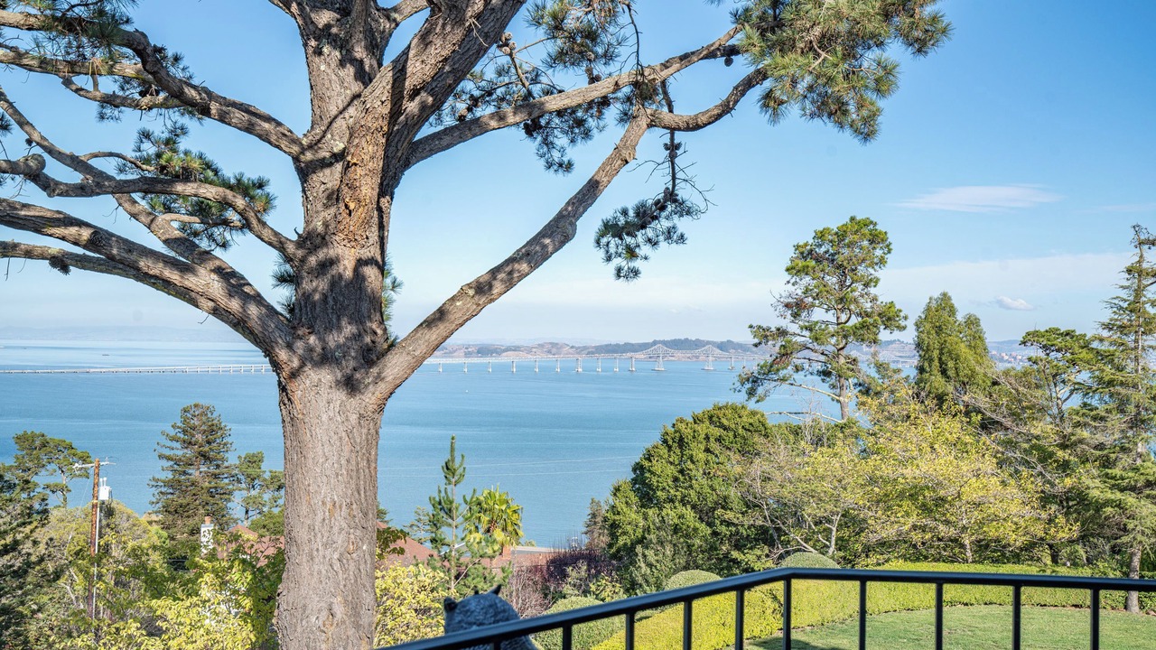Photo of Outdoor in Tiburon