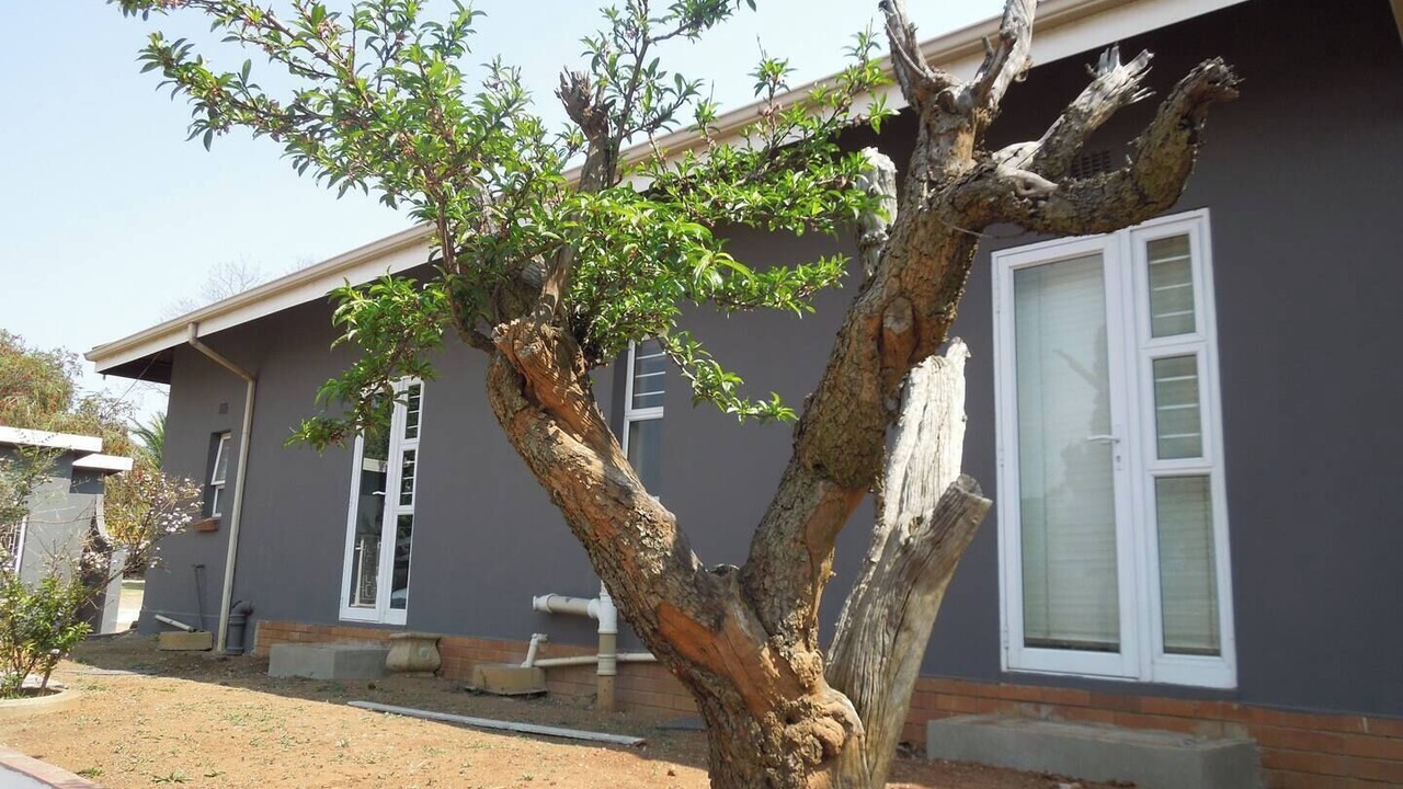 Photo of Outdoor in Greater Johannesburg Metropolitan Area