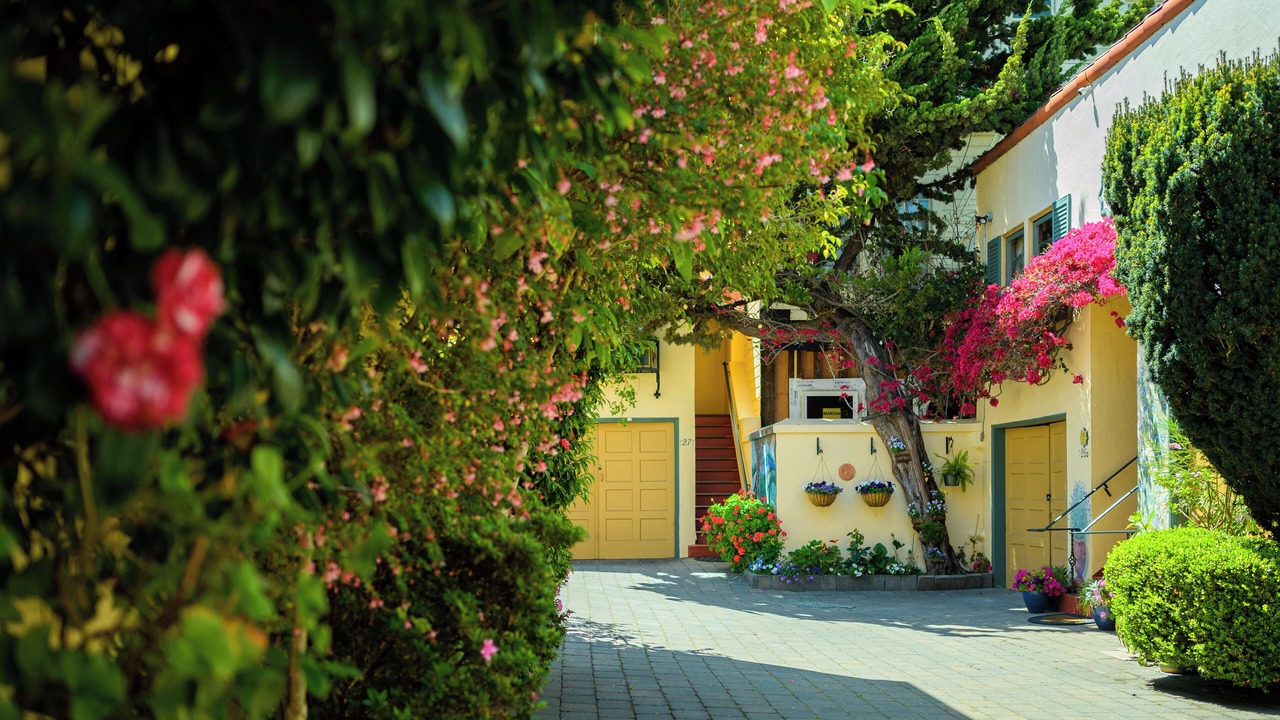 Photo of Outdoor in Marina District