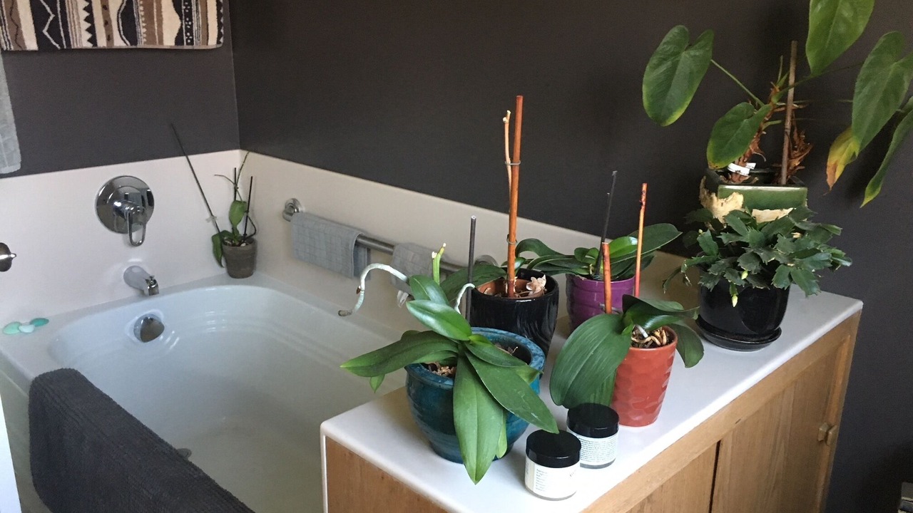 Photo of Bathroom in East Richmond
