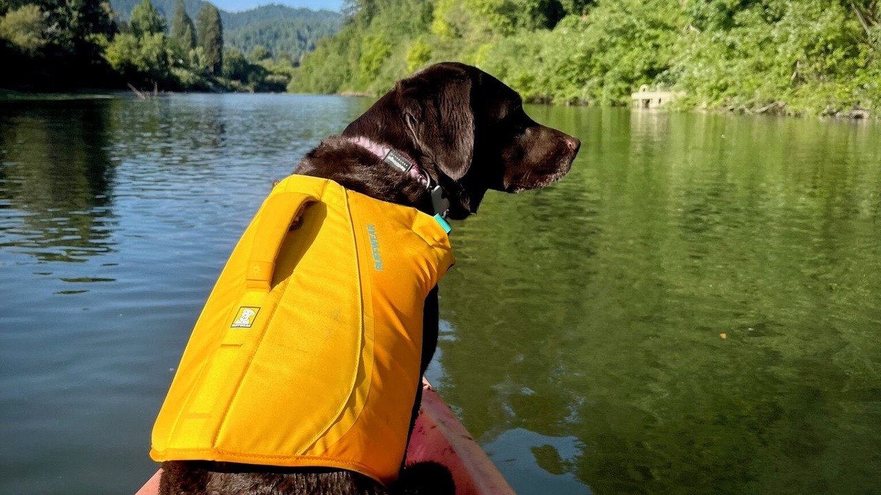 Photo of Others in Guerneville