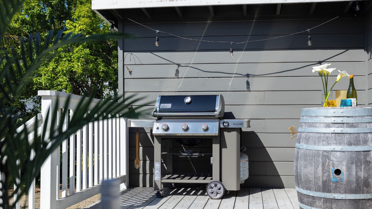 Photo of Outdoor in Seabright