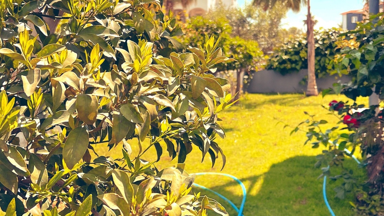 Photo of Outdoor in Kadriye