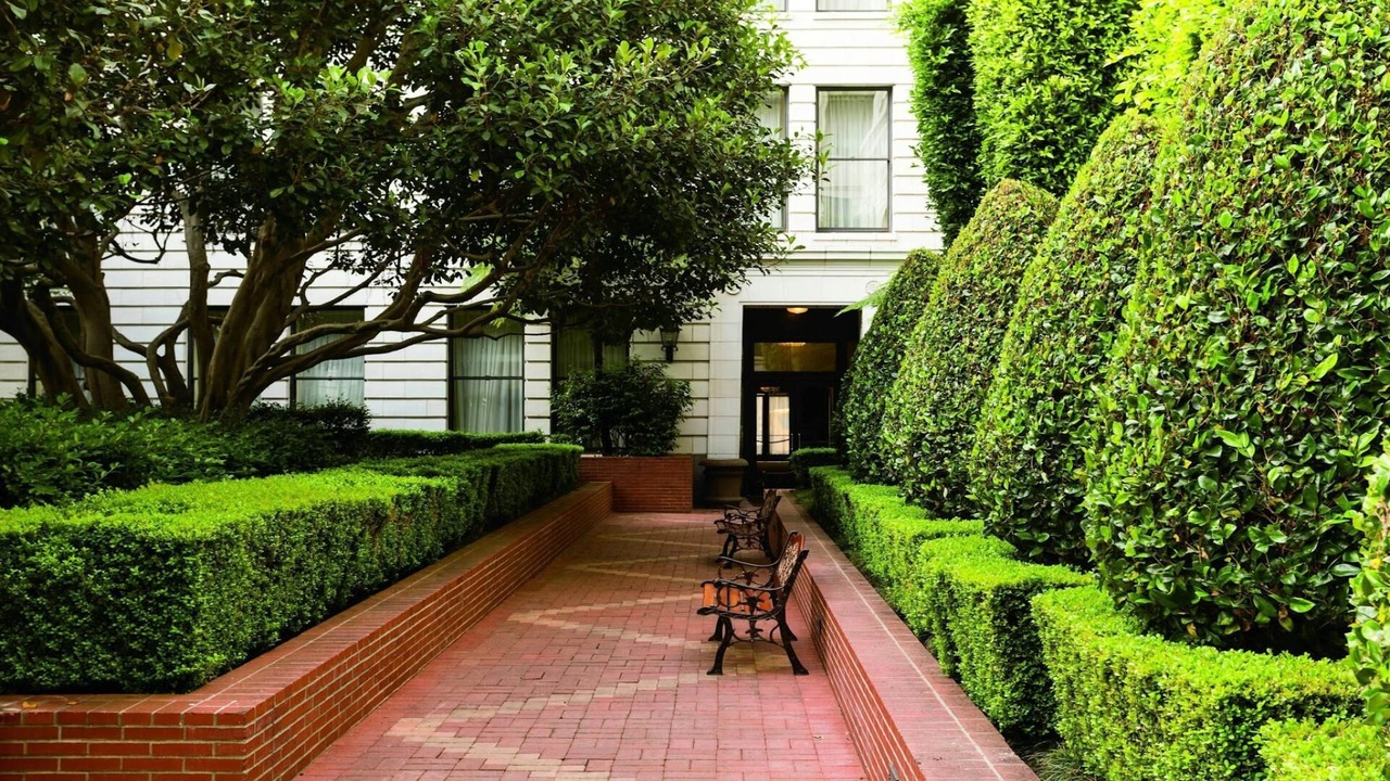Photo of Outdoor in Downtown San Francisco