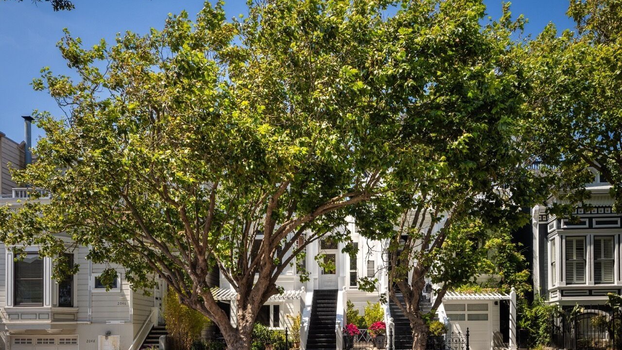 Photo of Outdoor in Anza Vista